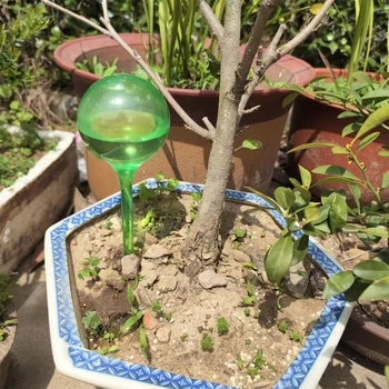 PVC כלי השקיה כדור שקוף בצורת עציץ Waterers קל משקל אין דפורמציה הביתה קישוטים לגינה בחצר המפעל